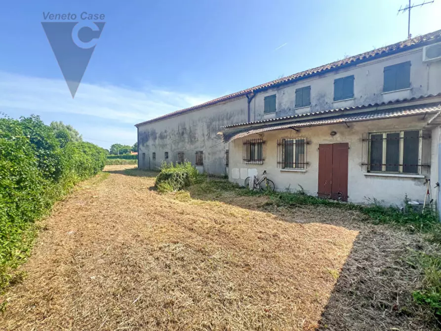 Immagine 4 di Rustico / casale in vendita  in Via Umberto I a Arzergrande