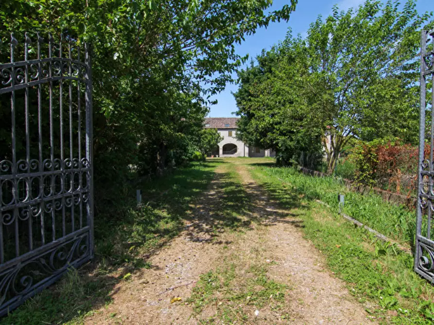 Immagine 7 di Rustico / casale in vendita  in Via Umberto I a Arzergrande