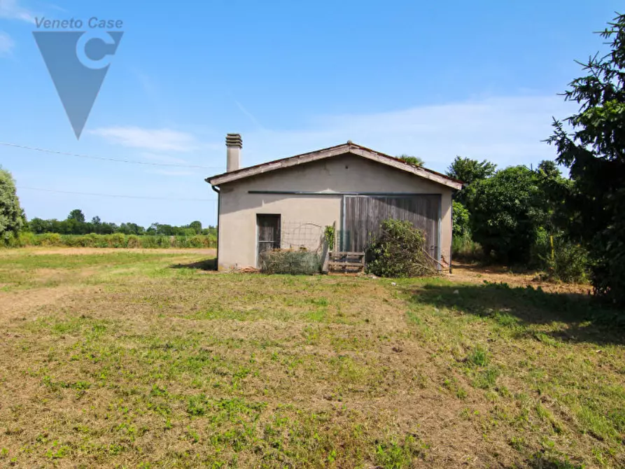 Immagine 8 di Rustico / casale in vendita  in Via Umberto I a Arzergrande