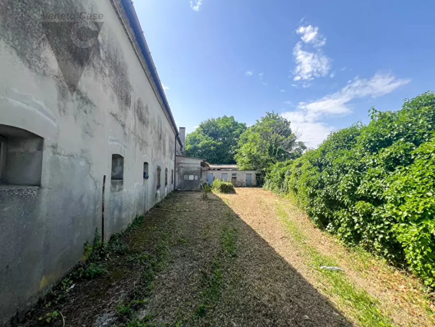 Immagine 9 di Rustico / casale in vendita  in Via Umberto I a Arzergrande