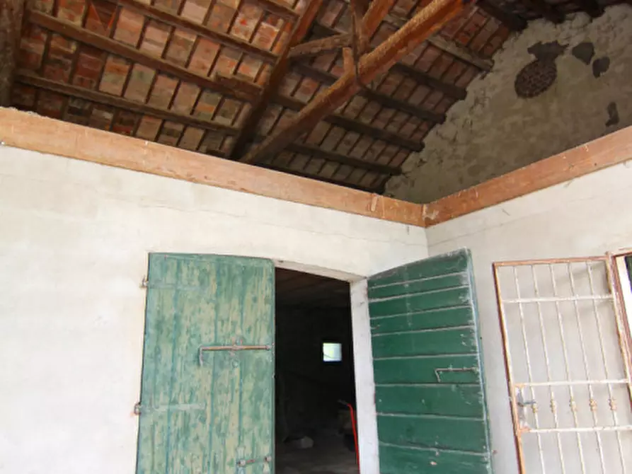 Immagine 39 di Rustico / casale in vendita  in Via Umberto I a Arzergrande