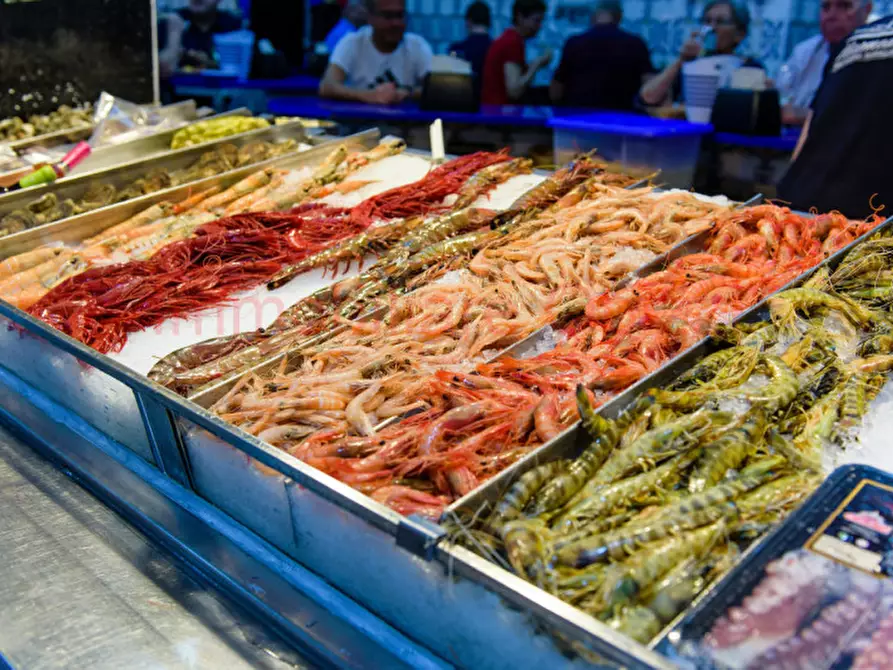 Immagine 6 di Attività commerciale in vendita  in Prato della Valle a Padova