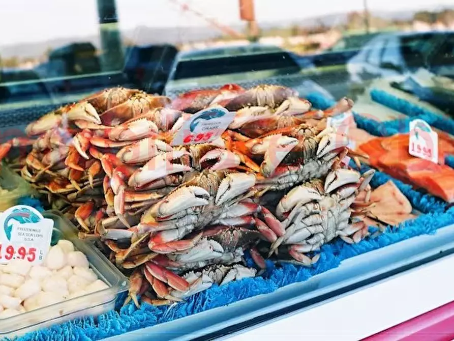 Immagine 29 di Attività commerciale in vendita  in Prato della Valle a Padova