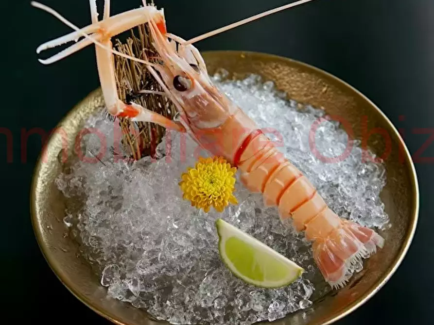 Immagine 33 di Attività commerciale in vendita  in Prato della Valle a Padova