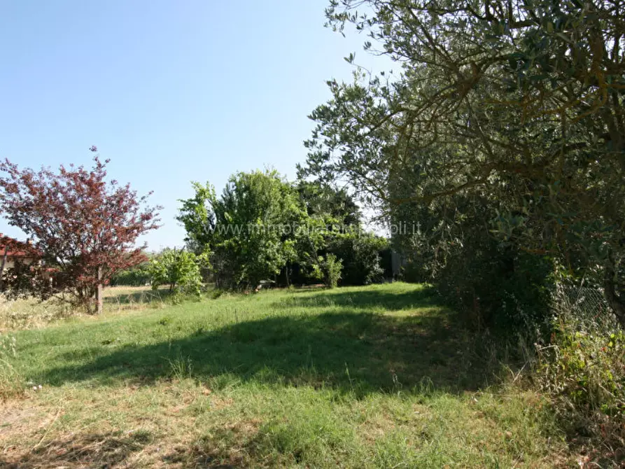 Immagine 6 di Rustico / casale in vendita  a Civitella In Val Di Chiana