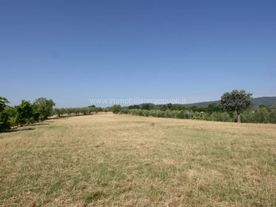 Immagine 7 di Rustico / casale in vendita  a Civitella In Val Di Chiana
