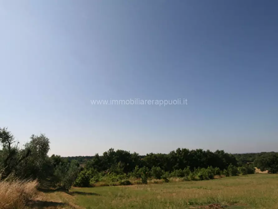 Immagine 8 di Rustico / casale in vendita  a Civitella In Val Di Chiana