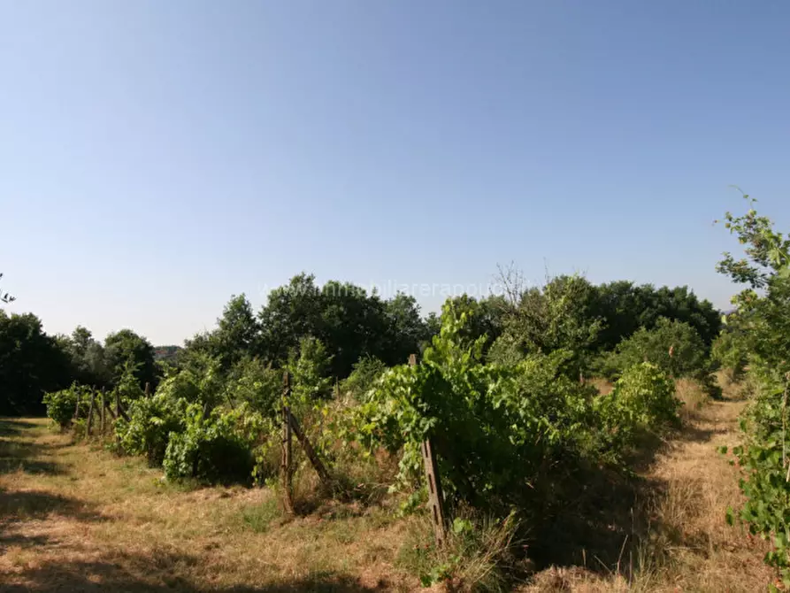 Immagine 9 di Rustico / casale in vendita  a Civitella In Val Di Chiana