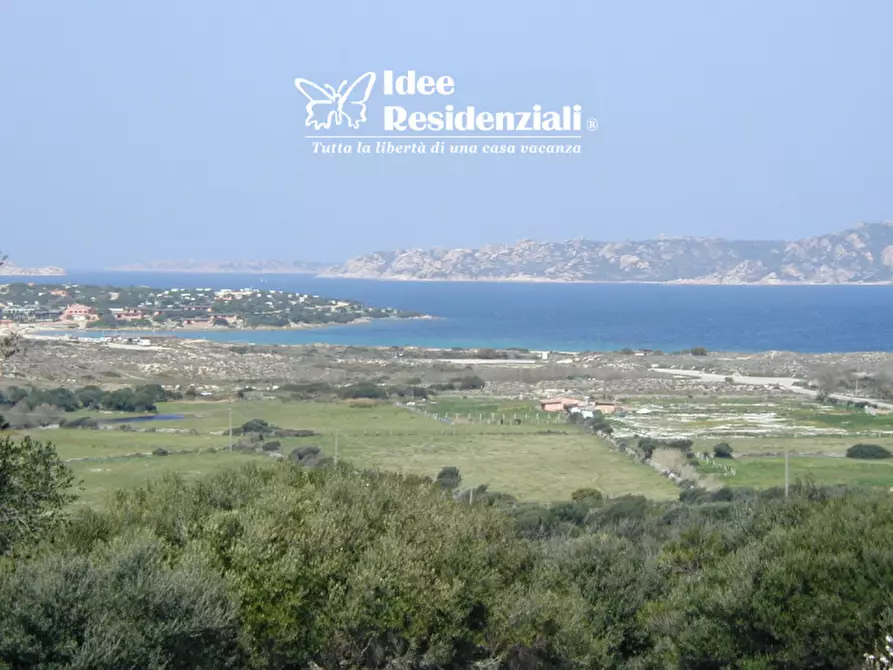 Immagine 5 di Appartamento in vendita  in Via Antonio Pigliaru a Palau