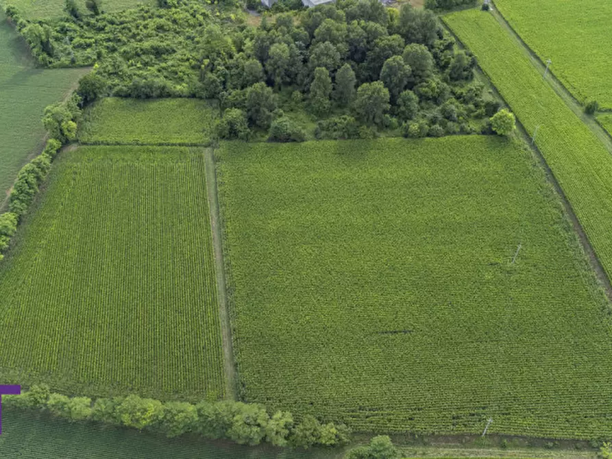 Immagine 1 di Terreno in vendita  in Via Trieste a Aiello Del Friuli