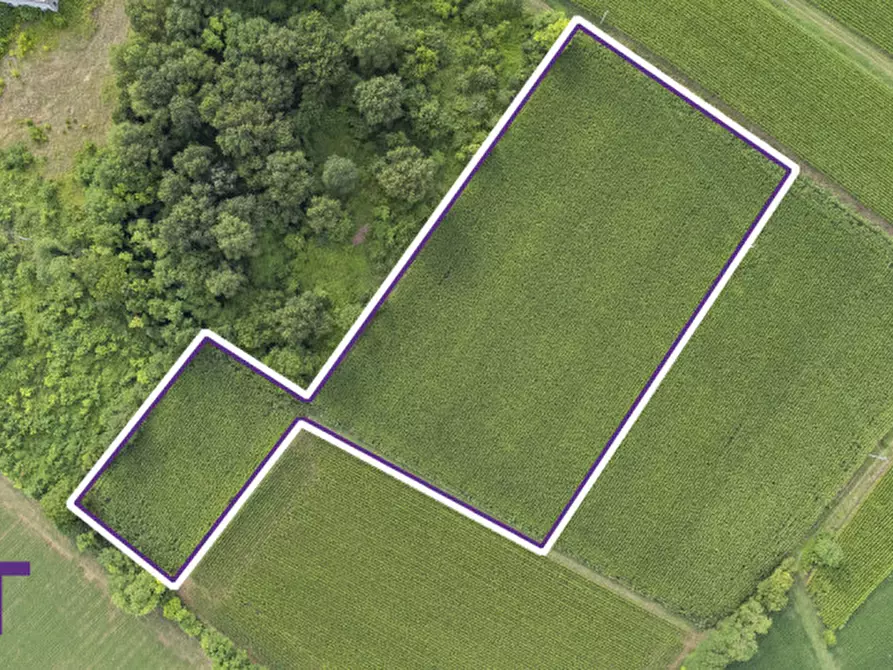 Immagine 2 di Terreno in vendita  in Via Trieste a Aiello Del Friuli