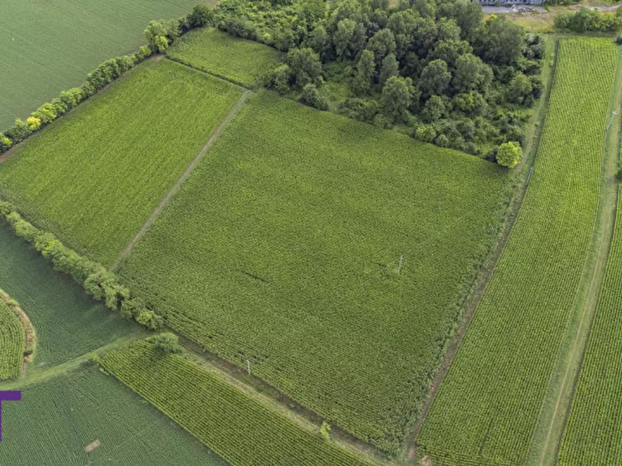 Immagine 3 di Terreno in vendita  in Via Trieste a Aiello Del Friuli
