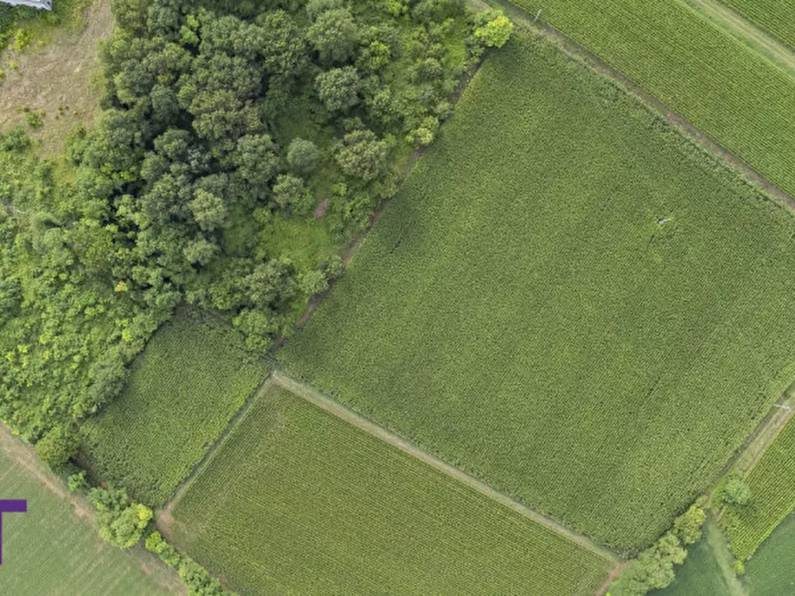 Immagine 4 di Terreno in vendita  in Via Trieste a Aiello Del Friuli