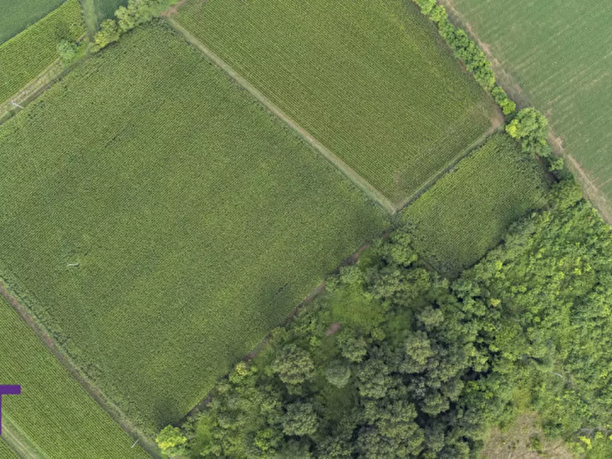 Immagine 5 di Terreno in vendita  in Via Trieste a Aiello Del Friuli