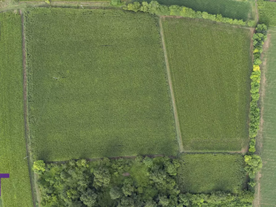 Immagine 6 di Terreno in vendita  in Via Trieste a Aiello Del Friuli