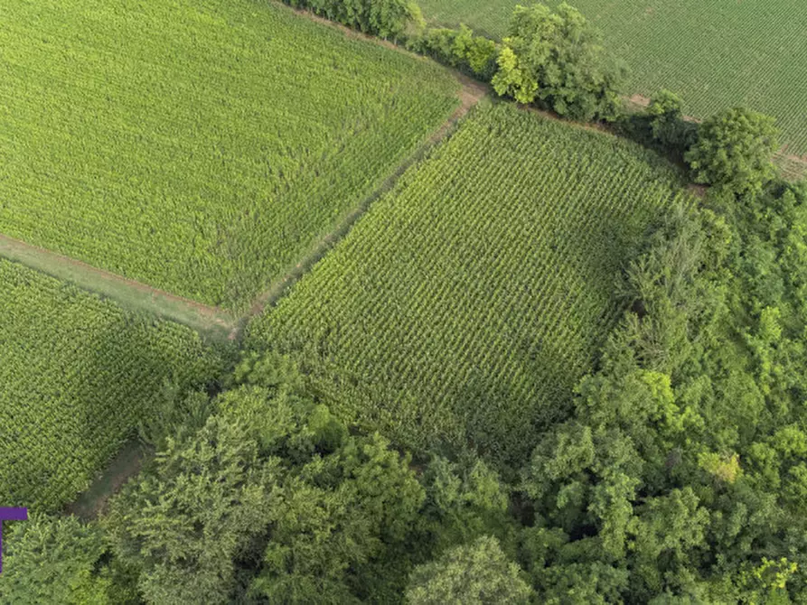 Immagine 7 di Terreno in vendita  in Via Trieste a Aiello Del Friuli