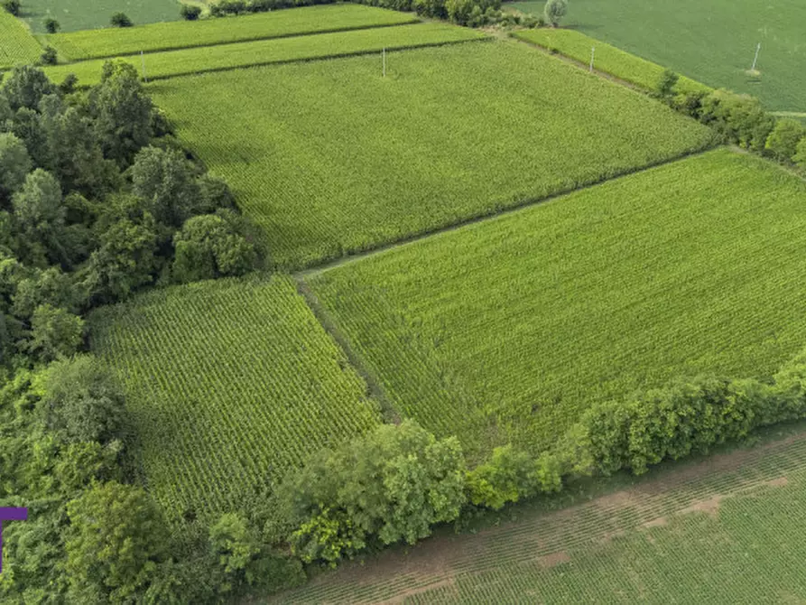 Immagine 8 di Terreno in vendita  in Via Trieste a Aiello Del Friuli