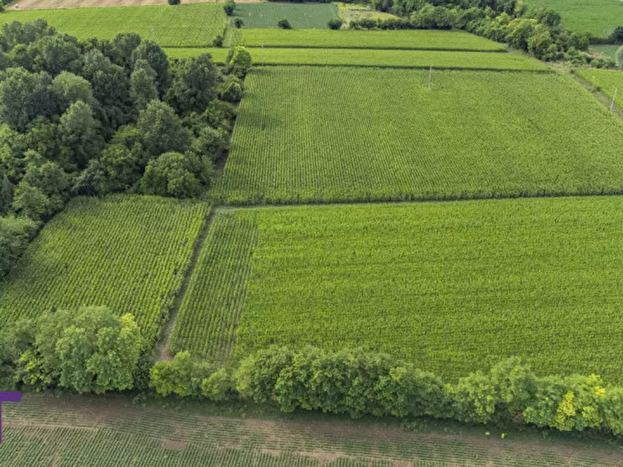 Immagine 9 di Terreno in vendita  in Via Trieste a Aiello Del Friuli