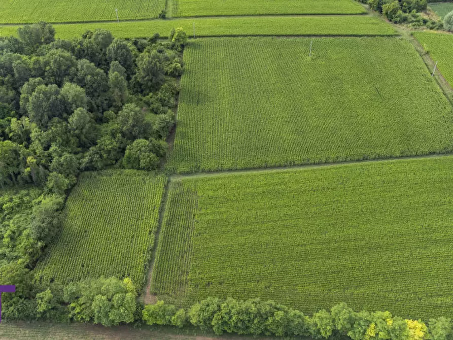 Immagine 10 di Terreno in vendita  in Via Trieste a Aiello Del Friuli