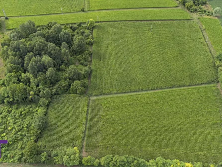 Immagine 11 di Terreno in vendita  in Via Trieste a Aiello Del Friuli
