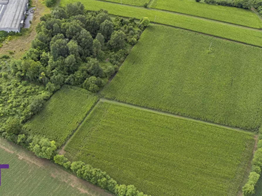 Immagine 12 di Terreno in vendita  in Via Trieste a Aiello Del Friuli