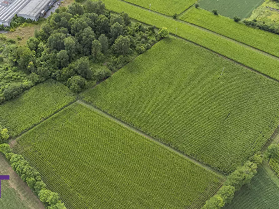 Immagine 13 di Terreno in vendita  in Via Trieste a Aiello Del Friuli