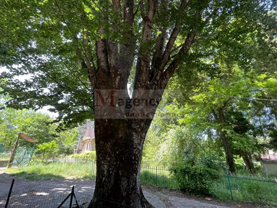 Immagine 7 di Villa in vendita  a San Roberto