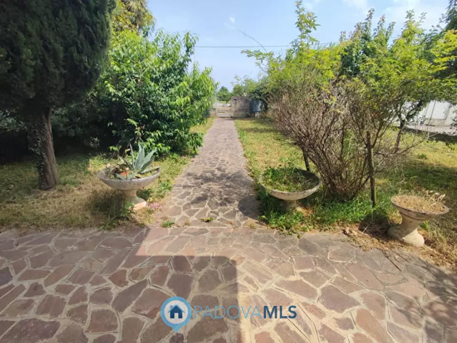 Immagine 10 di Casa indipendente in vendita  in VIA SAN GIORGIO 12 a Albignasego