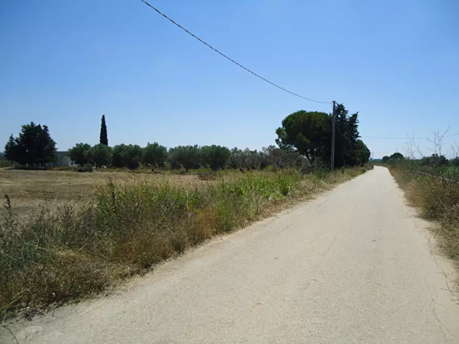 Immagine 15 di Terreno in vendita  in Strada Vicinale Yala a Parabita