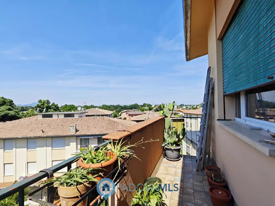Immagine 9 di Appartamento in vendita  in VIA JACOPO RICCATI 2 a Padova