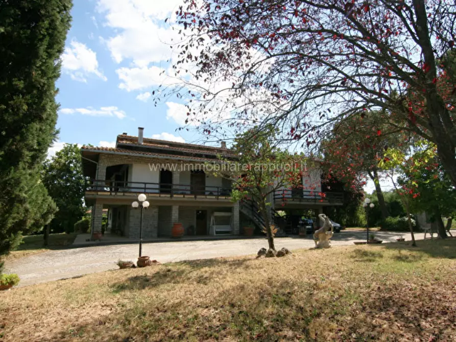 Immagine 1 di Villa in vendita  a Torrita Di Siena