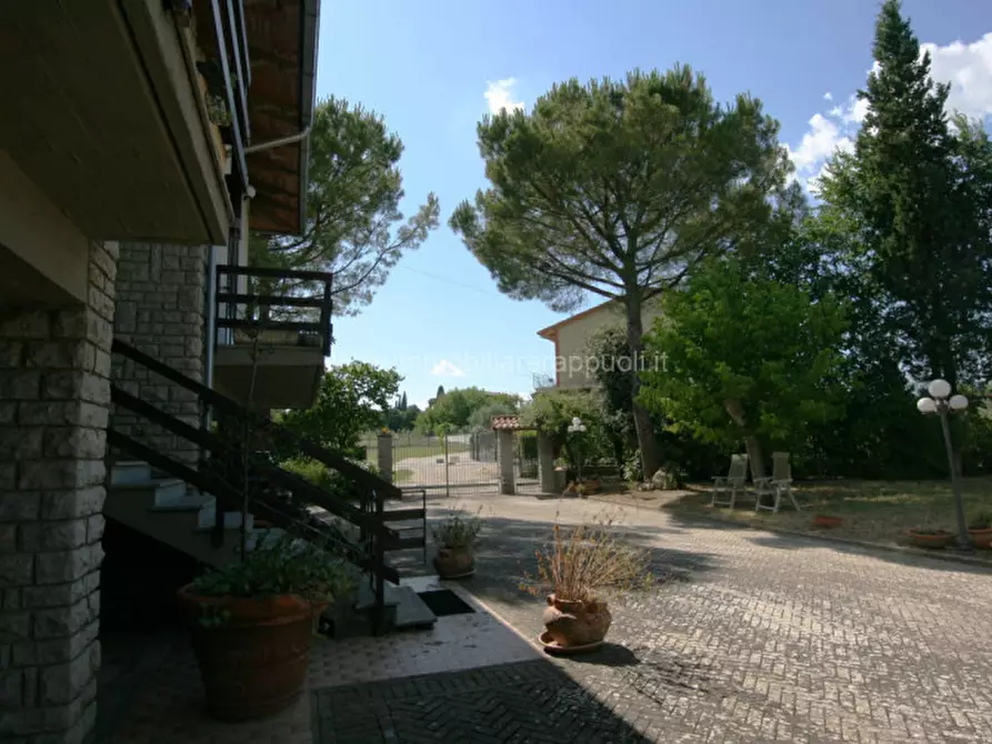 Immagine 3 di Villa in vendita  a Torrita Di Siena