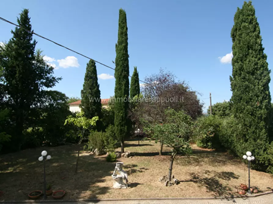 Immagine 4 di Villa in vendita  a Torrita Di Siena