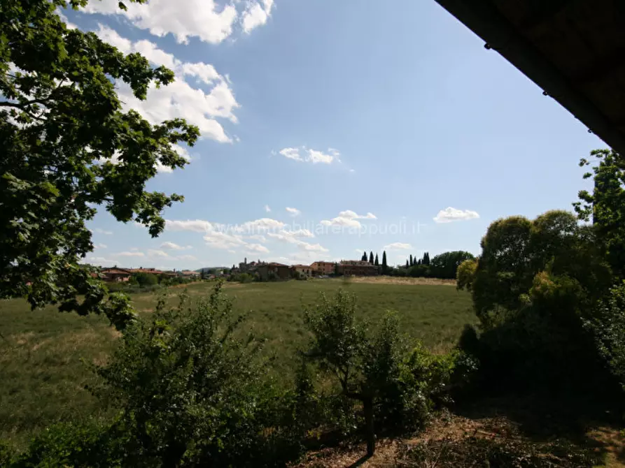 Immagine 7 di Villa in vendita  a Torrita Di Siena