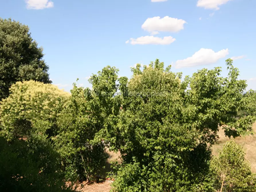 Immagine 10 di Villa in vendita  a Torrita Di Siena