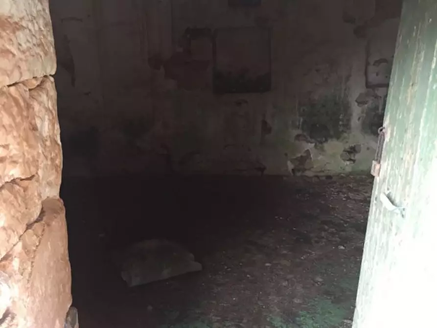 Immagine 3 di Rustico / casale in vendita  in Contrada Montagnulo a Ceglie Messapico