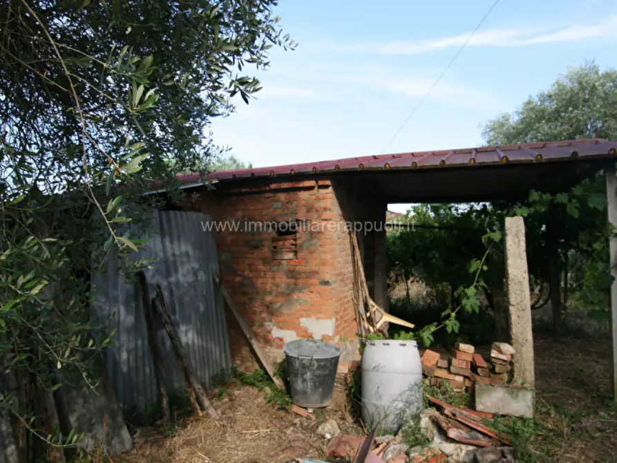 Immagine 7 di Casa indipendente in vendita  a Montepulciano