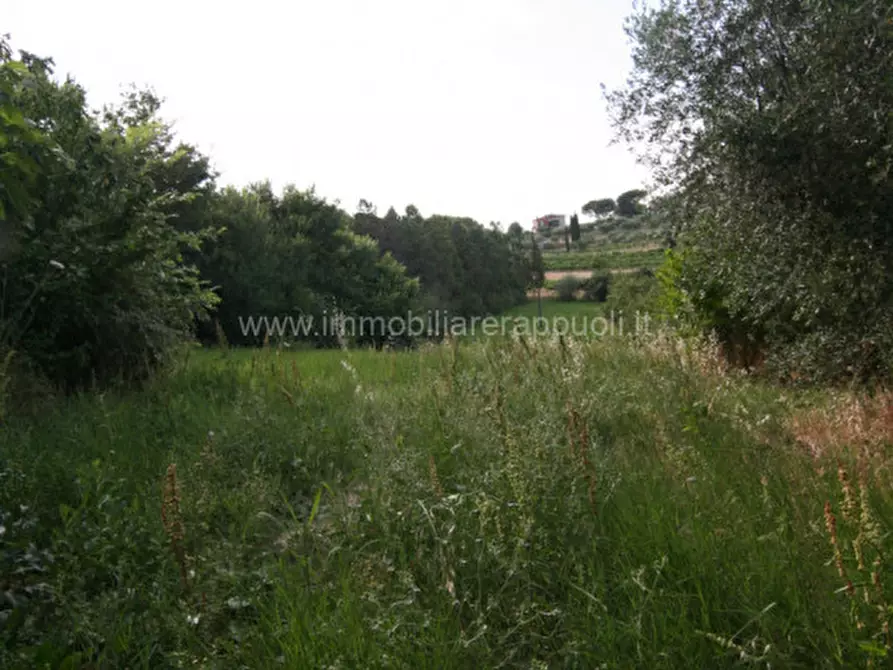 Immagine 9 di Casa indipendente in vendita  a Montepulciano