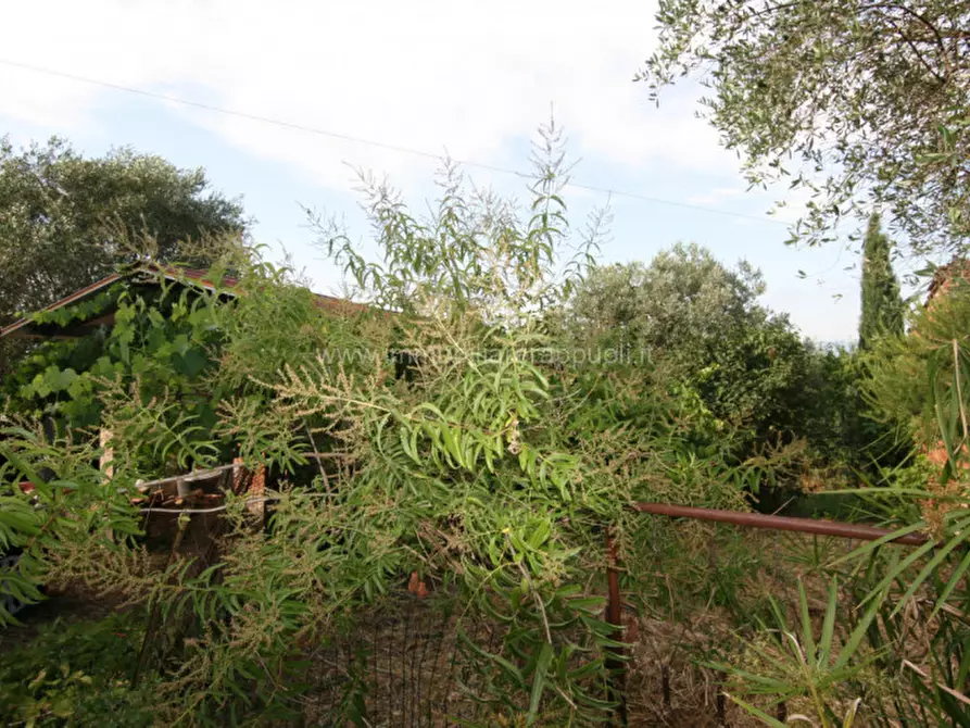 Immagine 10 di Casa indipendente in vendita  a Montepulciano