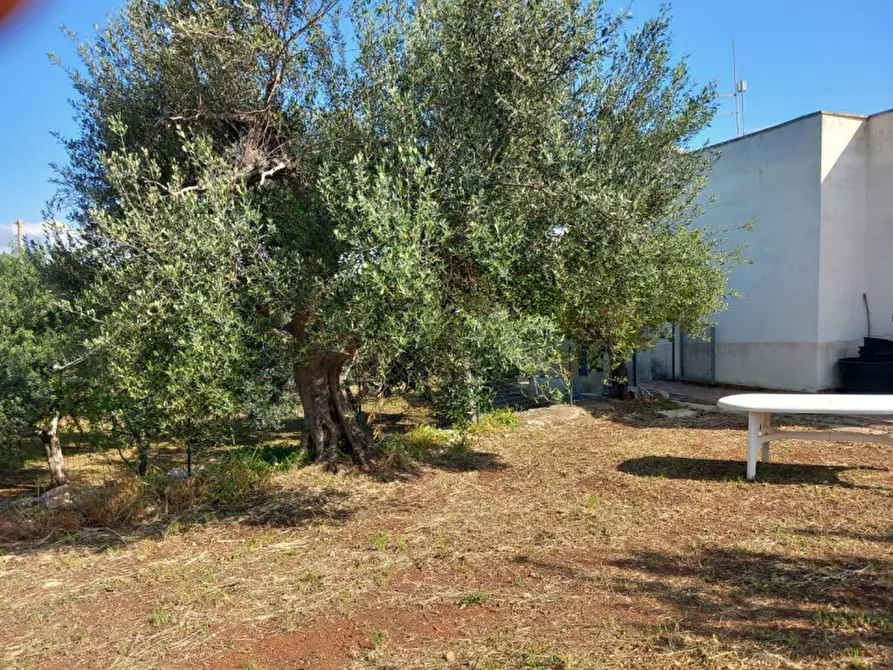 Immagine 25 di Villa in vendita  in C.da Boccadoro a Ostuni