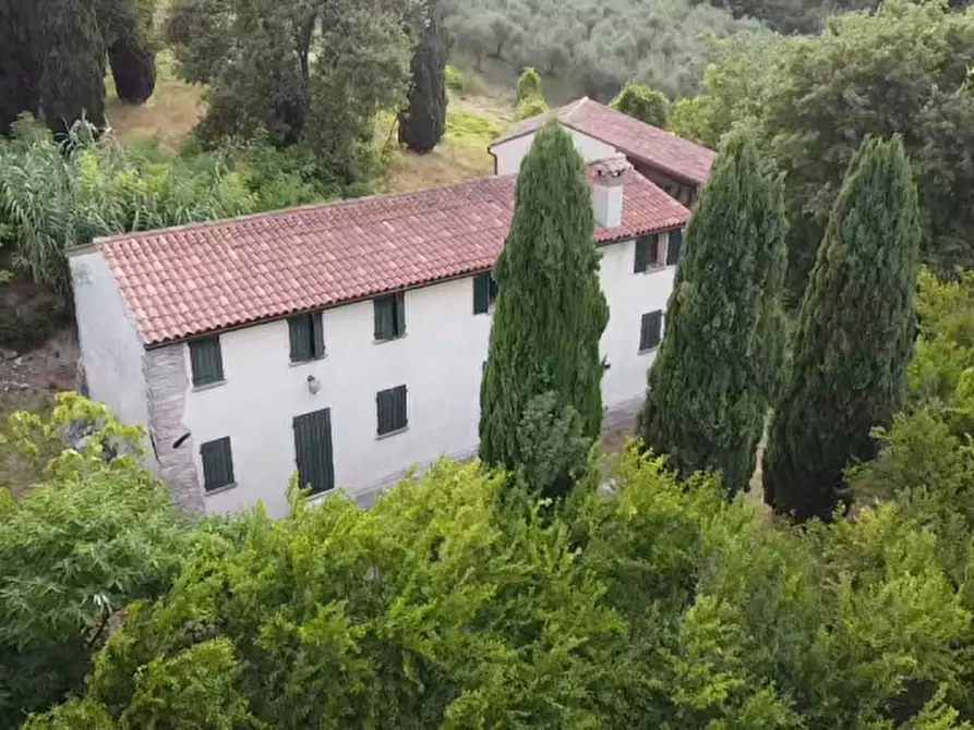 Immagine 1 di Villa in vendita  in Via Dea Santa a Cinto Euganeo