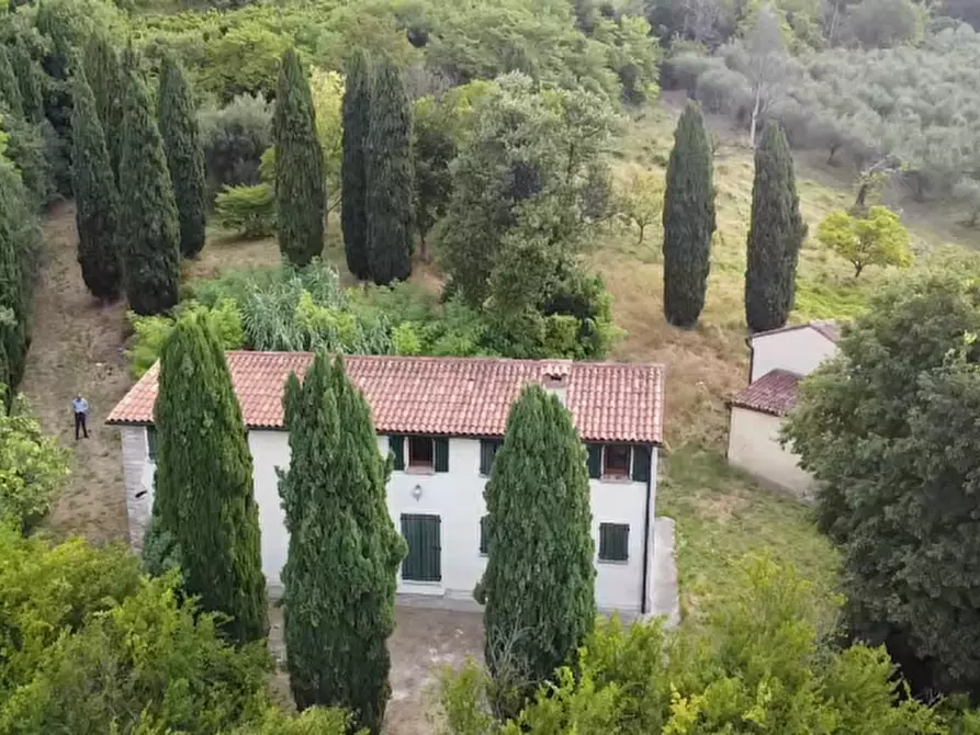 Immagine 4 di Villa in vendita  in Via Dea Santa a Cinto Euganeo