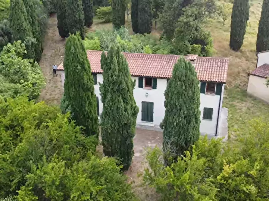 Immagine 5 di Villa in vendita  in Via Dea Santa a Cinto Euganeo