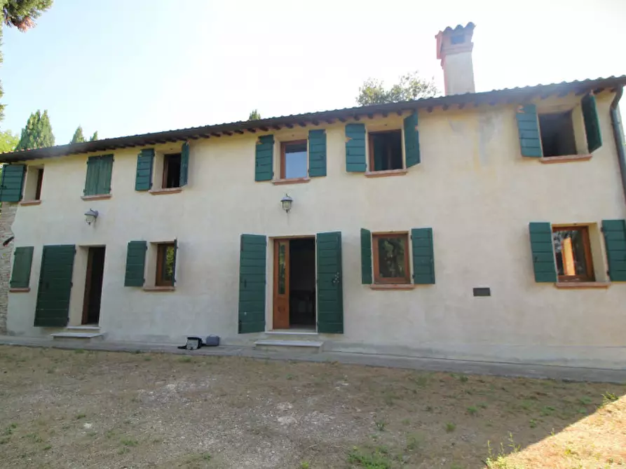 Immagine 8 di Villa in vendita  in Via Dea Santa a Cinto Euganeo