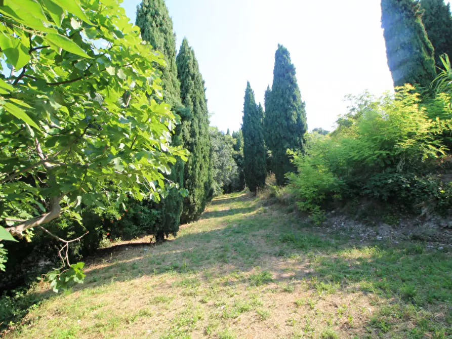 Immagine 15 di Villa in vendita  in Via Dea Santa a Cinto Euganeo