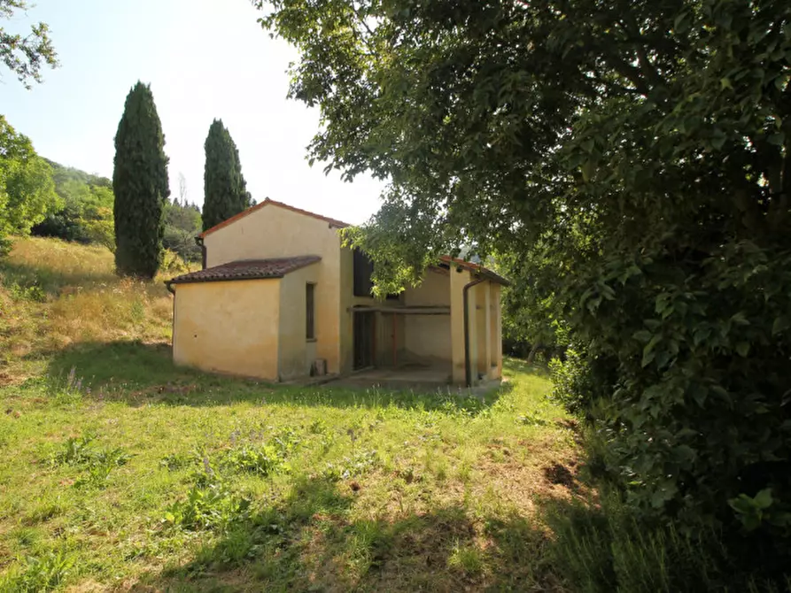 Immagine 31 di Villa in vendita  in Via Dea Santa a Cinto Euganeo