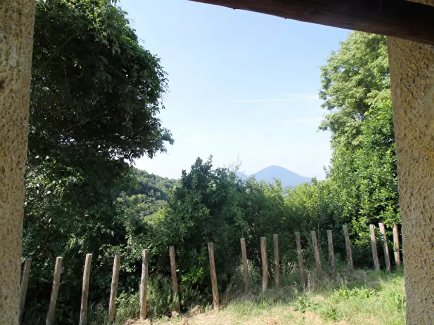 Immagine 32 di Villa in vendita  in Via Dea Santa a Cinto Euganeo