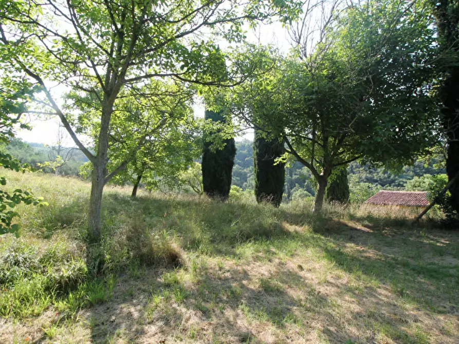 Immagine 39 di Villa in vendita  in Via Dea Santa a Cinto Euganeo