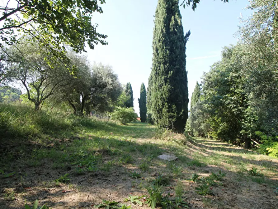 Immagine 41 di Villa in vendita  in Via Dea Santa a Cinto Euganeo