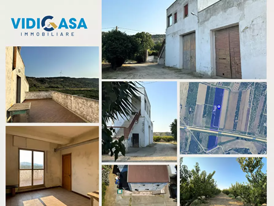 Immagine 2 di Villa in vendita  a Montescaglioso